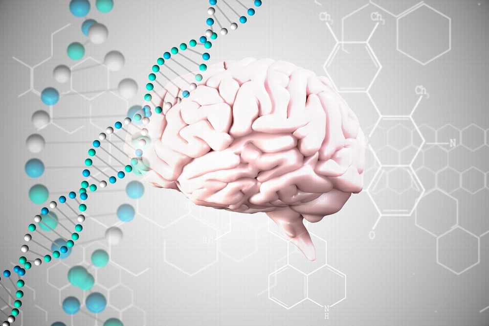 Drevni DNK još uvek prisutan u ljudskom genomu: Povezan sa psihijatrijskim poremećajima