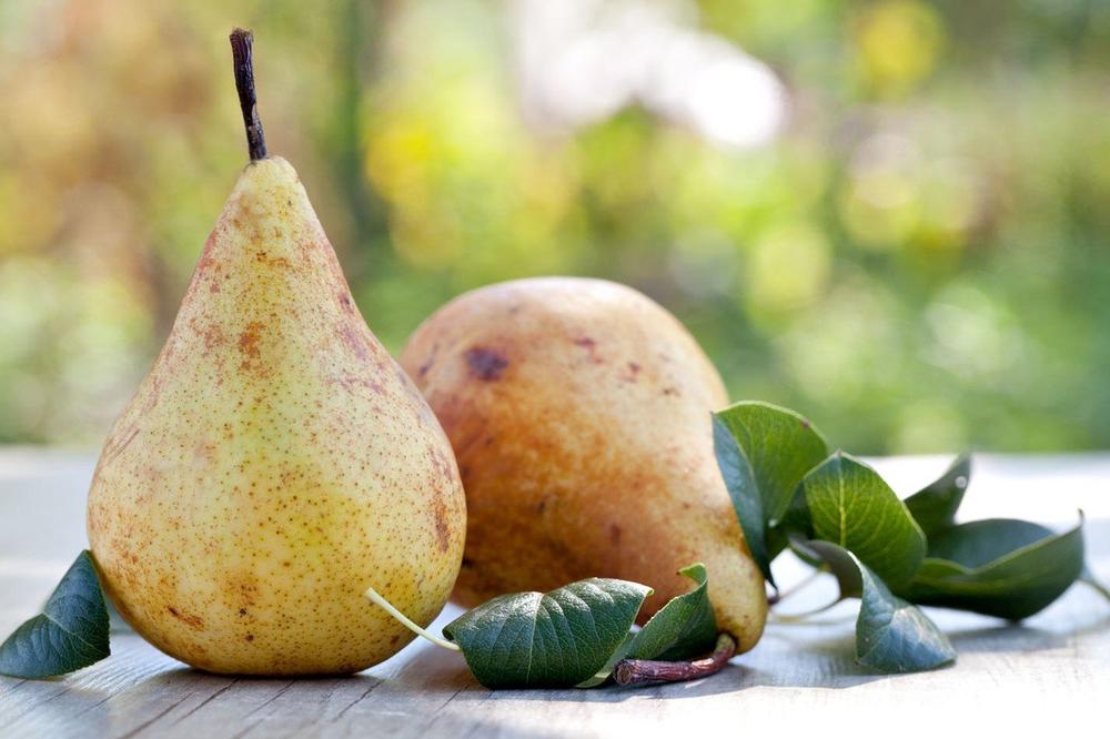 pektin vlakno koje se nalazi u kruški podstiče rast dobrih bakterija debelog creva