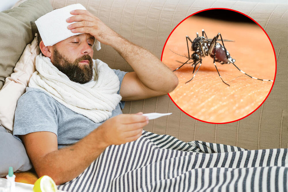 bolest, komarac, Zapadni Nil