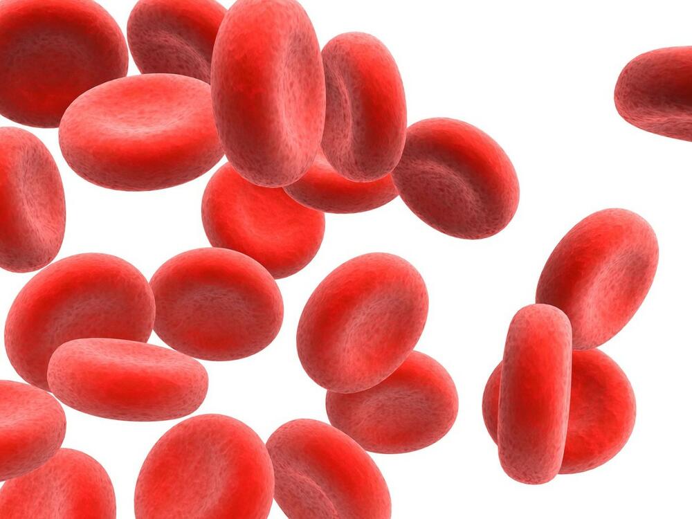 Prilična koncentracija gvožđa u vašem telu nalazi se u proteinu koji se zove hemoglobin koji je prisutan u crvenim krvnim zrncima
