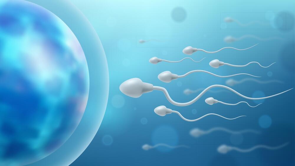 IVF s doniranim ćelijama od decembra 2022. godine se izvodi i u Srbiji