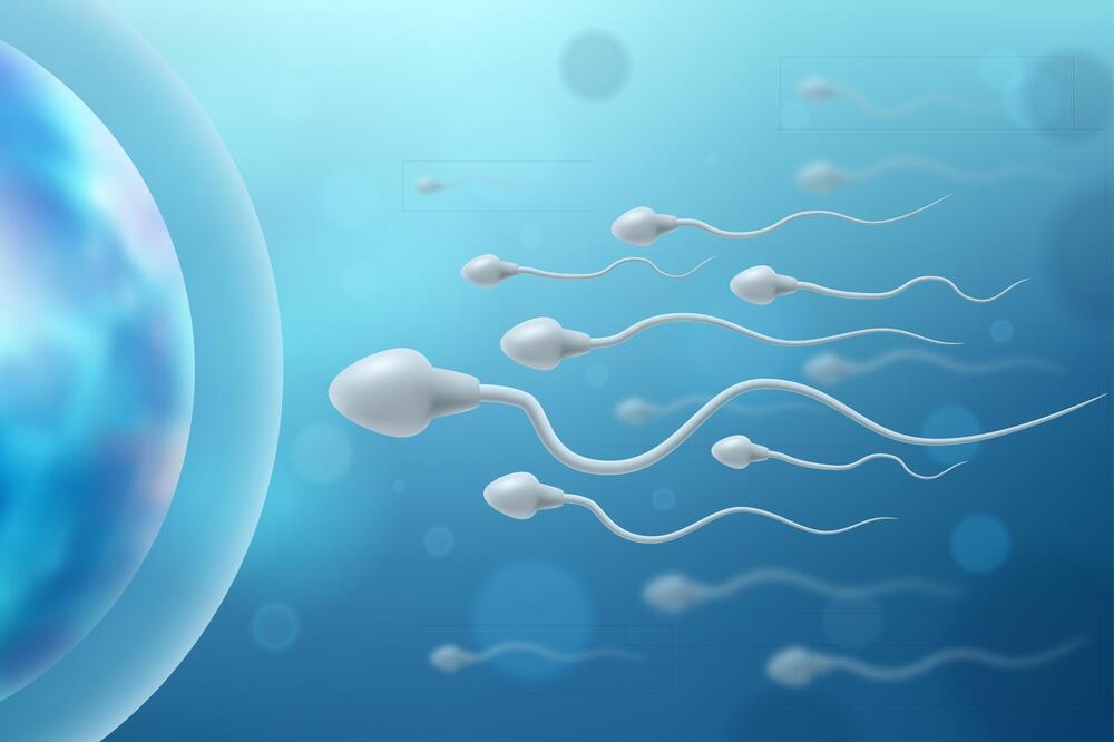 Put do bebe biće lakši: Ultrazvučni talasi visoke frekvencije poboljšavaju aktivnost spermatozoida