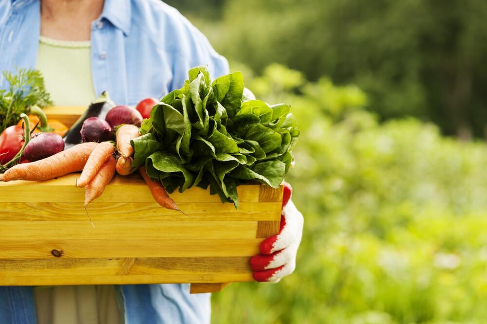 Nova sezona ranog proletnjeg zeleniša: 7 vrsta povrća koje baš sada treba jesti