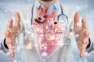 Nova 3D tehnika snimanja srca unaprediće kardiovaskularnu medicinu: Skeniranje organa ide do nivoa ćelije